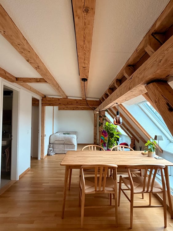 Cozy Attic Loft with Private Roof Terrace in the Heart of Zurich 1
