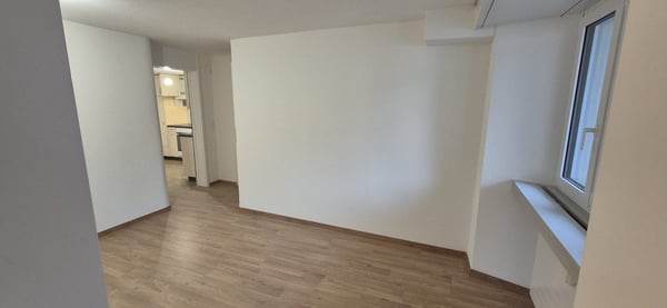 Schöne und helle 1-Zimmer-EG-Wohnung an zentraler Lage im landschaftlichen Schupfart 11