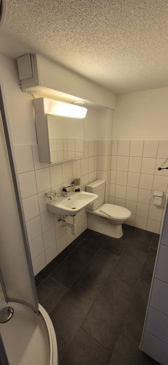 Schöne und helle 1-Zimmer-EG-Wohnung an zentraler Lage im landschaftlichen Schupfart 15