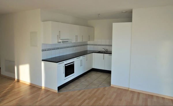 1.5 Rooms Apartment in Zurich Seebach - From Feb 2026 3