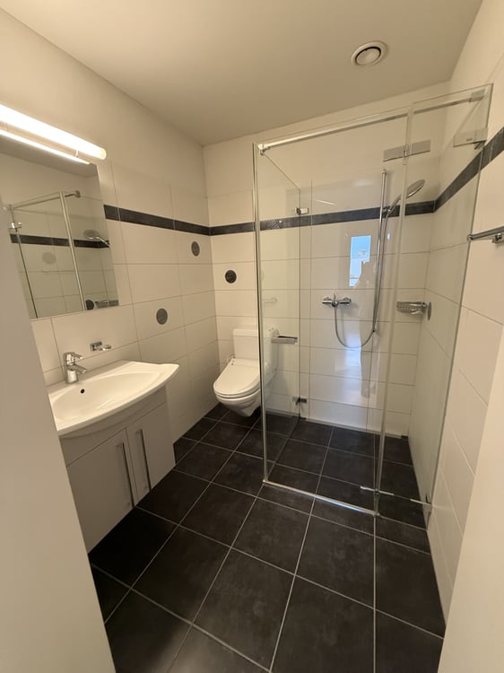 Grosszügige Attikawohnung in ruhigem Wohnquartier 16