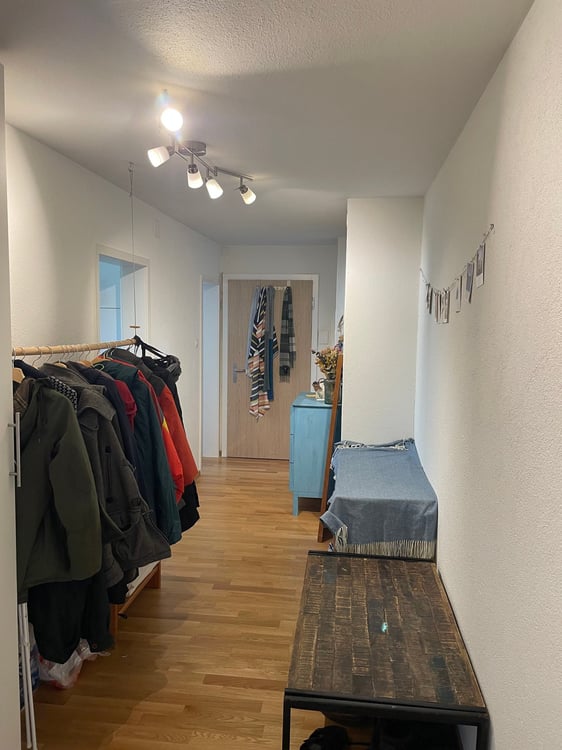 Gemütliche 1-Zimmer-Wohnung mit Balkon in Seebach 4