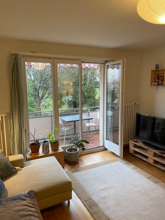 Gemütliche 1-Zimmer-Wohnung mit Balkon in Seebach 5