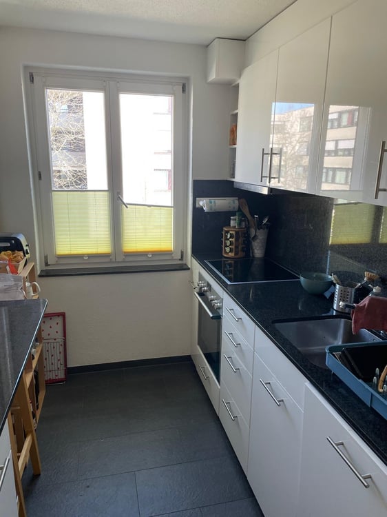 Gemütliche 1-Zimmer-Wohnung mit Balkon in Seebach 4