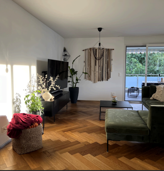 Moderne 1.5-Zimmer-Wohnung mit Bergblick in Buttikon SZ 1