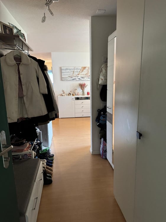1.5 Zi-Wohnung in Dussnang. ALLES INKLUSIVE 6