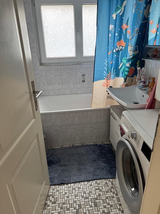 1.5 Zi-Wohnung in Dussnang. ALLES INKLUSIVE 10