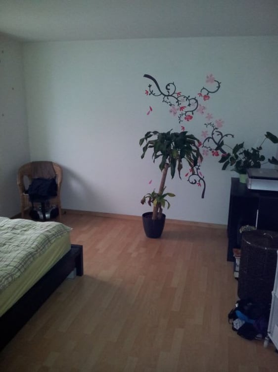 1 1/1 Zimmer Wohnung in Wohlen 4