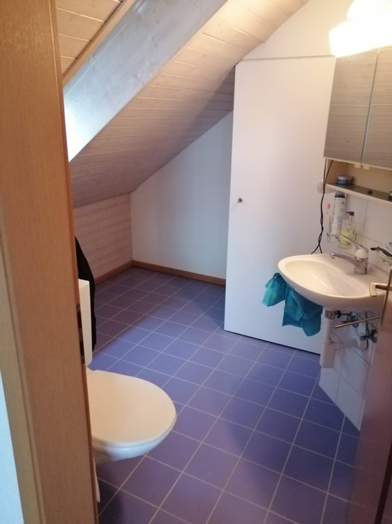 1-Zimmer-Dachwohnung 4