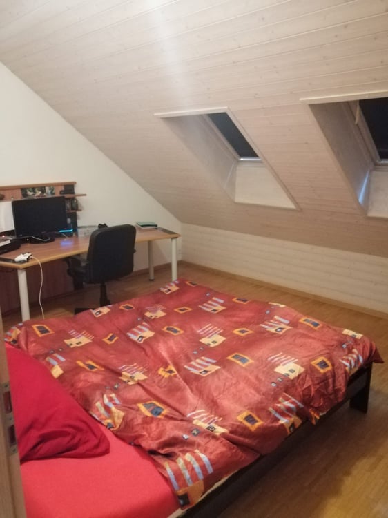 1-Zimmer-Dachwohnung 3