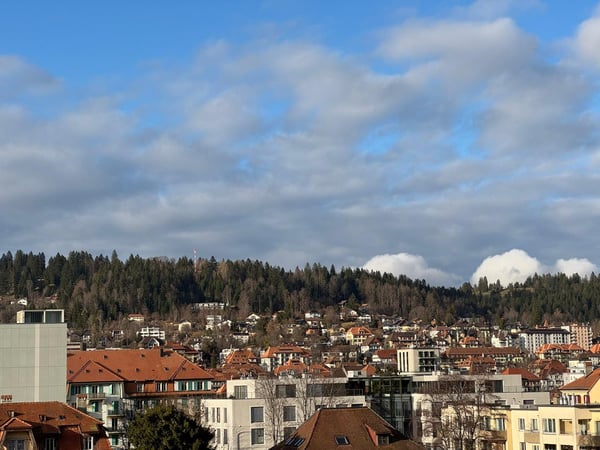Appartement 1.5 pièces rénové avec balcon et vue sur la ville 1