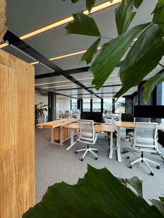 Helle, neu sanierte Bürofläche Binz (180m2) 4