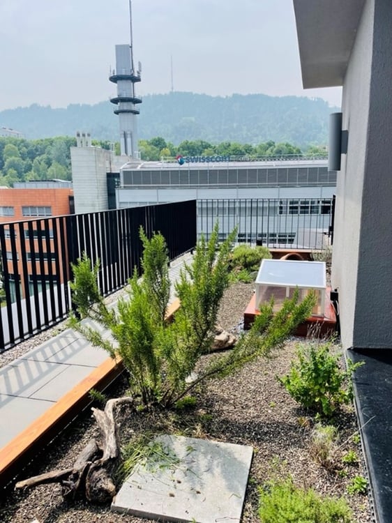 Helle, neu sanierte Bürofläche Binz (180m2) 9