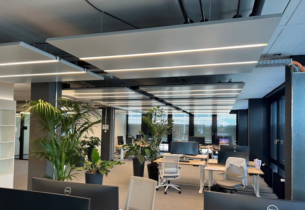 Helle, neu sanierte Bürofläche Binz (180m2) 1