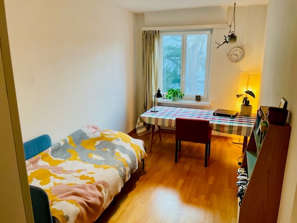 Spacious 1.5-room furnished apartment in prime Zürich location 5