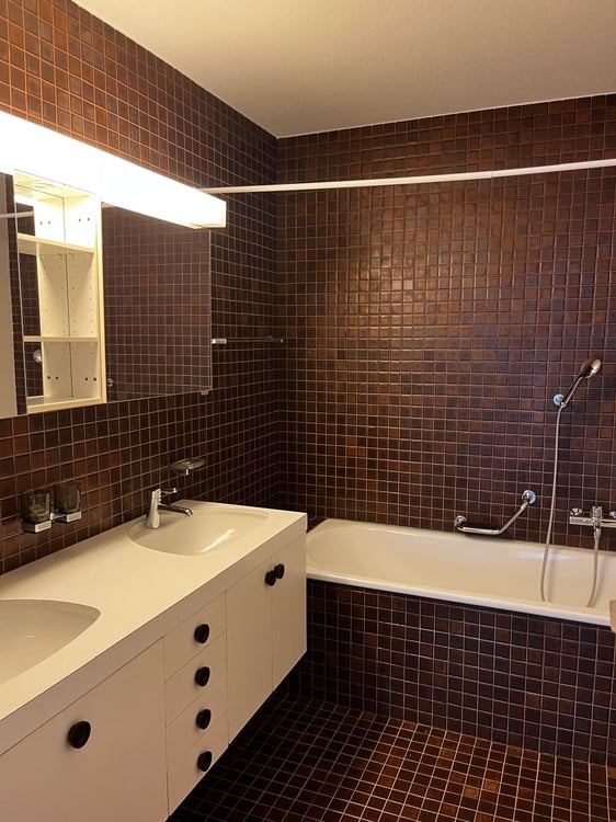 Grosszügige 1.5-Zimmer-Wohnung mit Rheinblick am Unterer Rheinweg 13