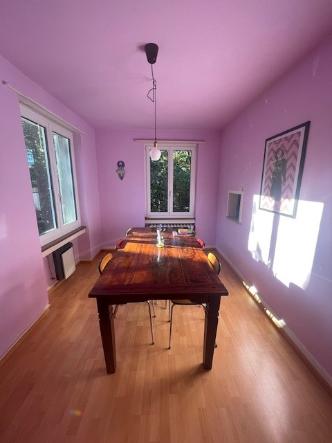 Charmante 1-Zimmer-Wohnung in Baden 4