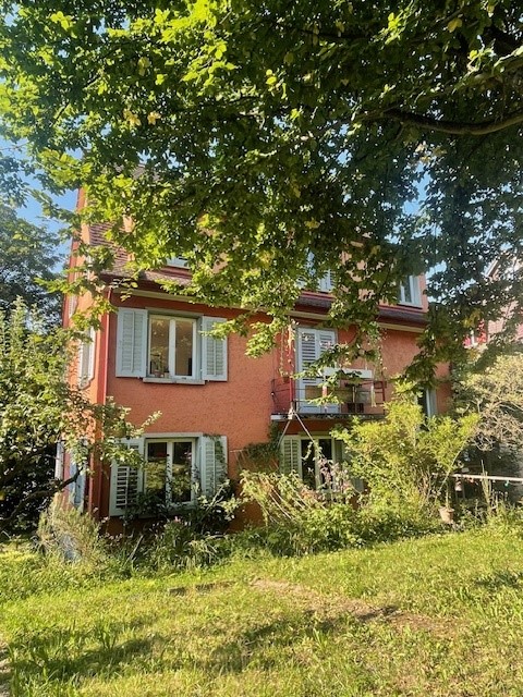 Charmante 1-Zimmer-Wohnung in Baden 1