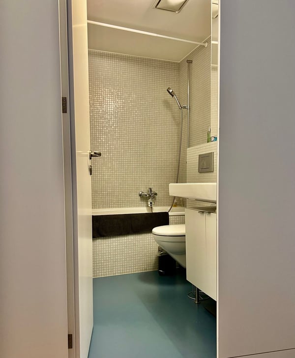 Fabelhafte 1.5-Zimmer-Wohnung mit Balkon in Wipkingen, Zürich 5