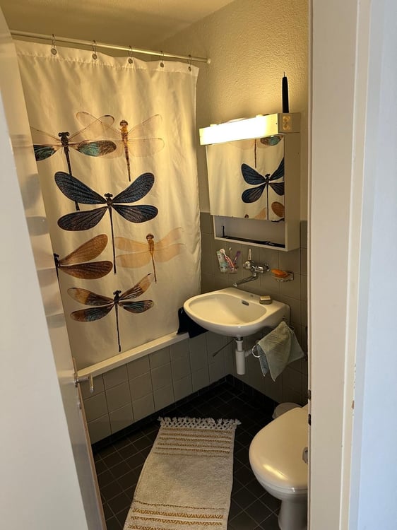 Schöne 1-Zimmer Wohnung mit Balkon / Sicht auf Bäume 8