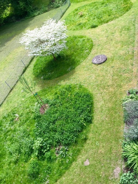 Schöne 1-Zimmer Wohnung mit Balkon / Sicht auf Bäume 10