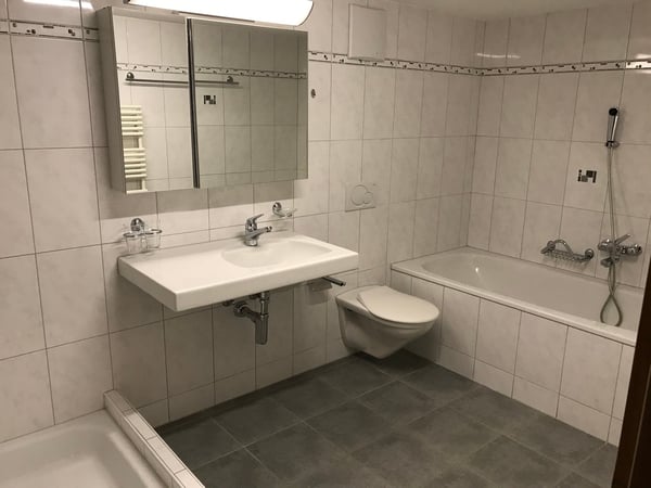 Charmante 1.5-Zimmer-Duplex-Wohnung in ruhiger Lage in Tegerfelden 5