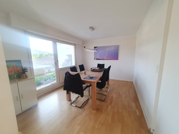 Grosszügige 1.5-Zimmer-Wohnung mit Balkon und Kamin in Möhlin 9