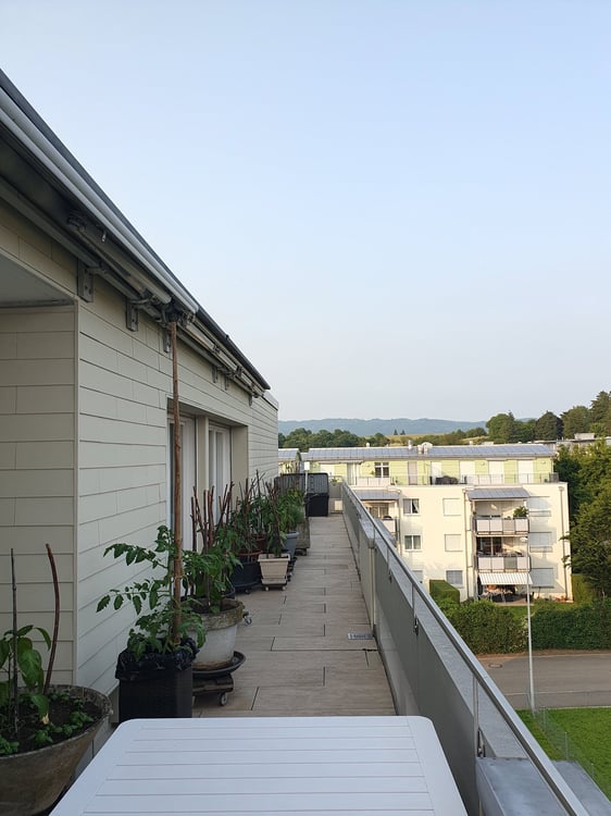 Grosszügige 1.5-Zimmer-Wohnung mit Balkon und Kamin in Möhlin 3