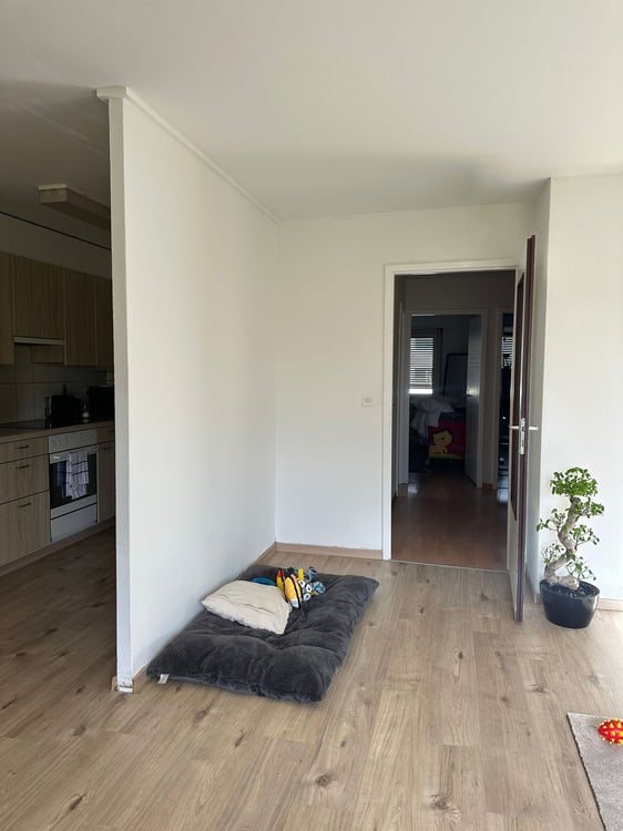 Wohnung in Rudolfstetten 3