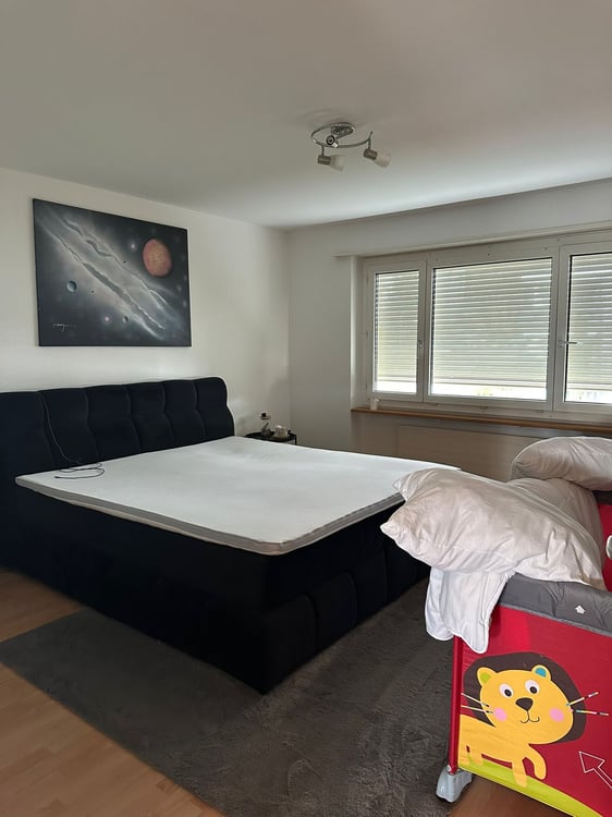 Wohnung in Rudolfstetten 4