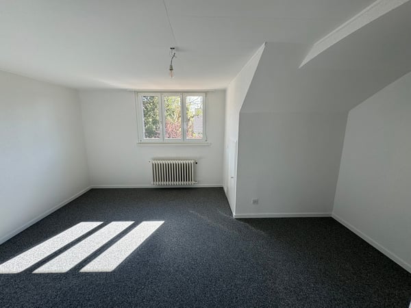 Grosszügiges 1.5-Zimmer-Reihenhaus in Basel-Steinbühlallee 5