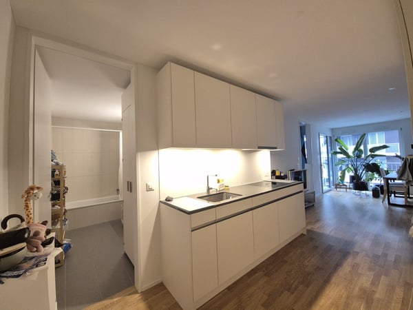 Modern 1.5-Room Apartment in Brand New Building - Wiedikon 3