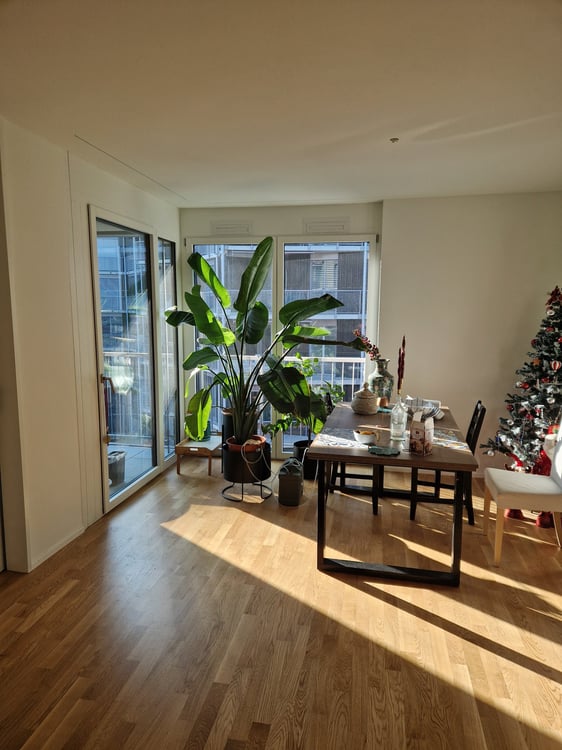 Modern 1.5-Room Apartment in Brand New Building - Wiedikon 2