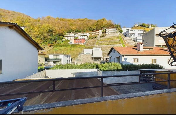 Spazioso immobile commerciale con potenziale ristorativo a Sementina 18