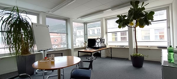 Repräsentative Büroräume an der Freie Strasse 20 in Basel 3