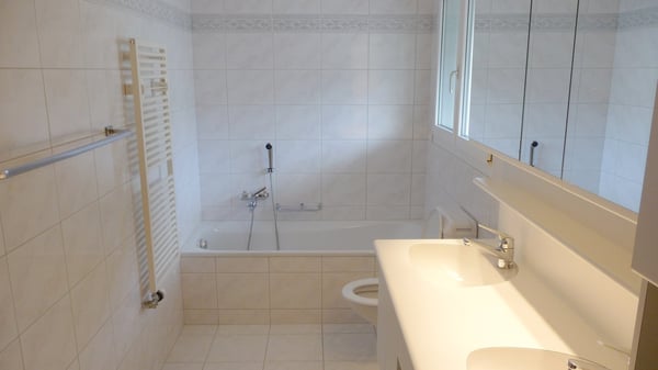 Modernes 1 ½ Zimmer-Zweifamilienhaus in Top-Lage mit atemberaubender Bergsicht in Morschach 8