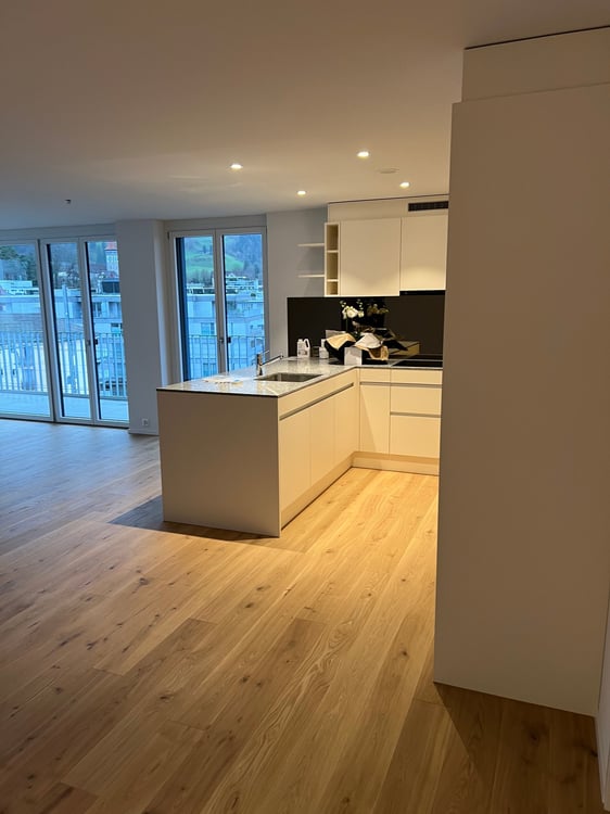 Moderne 1.5-Zimmer-Neubau-Wohnung mit Bergblick und Seeblick in Goldau 1
