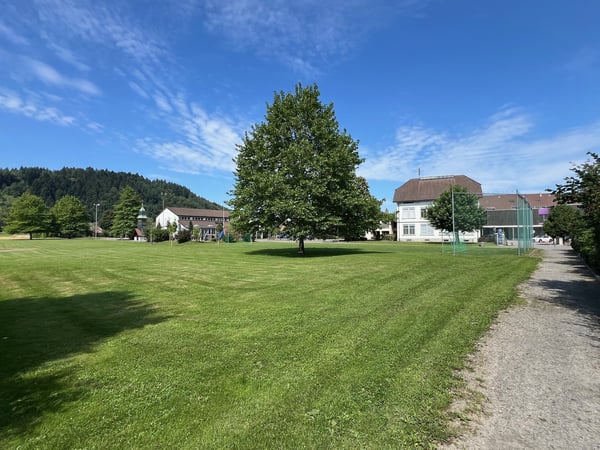 Wohnen am Bach im idyllischen Hendschiken mit guter Anbindung nach Lenzburg, Aarau und Zürich 21