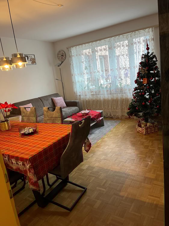 Charmante 1-Zimmer-Wohnung mit Balkon in Olten 1