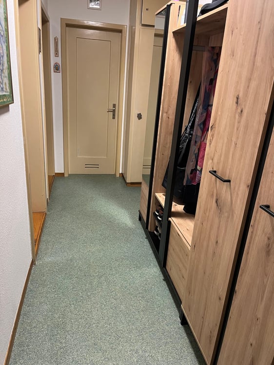 Charmante 1-Zimmer-Wohnung mit Balkon in Olten 5