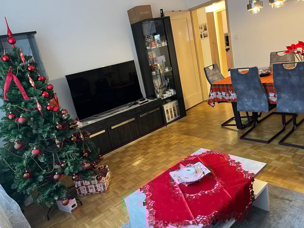 Charmante 1-Zimmer-Wohnung mit Balkon in Olten 2