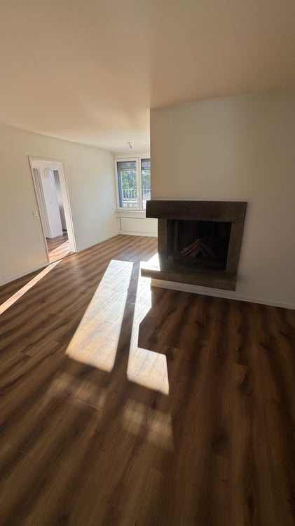 Helle und moderne 1.5-Zimmer Attikawohnung mit grosser Terrasse und viel Privatsphäre 1