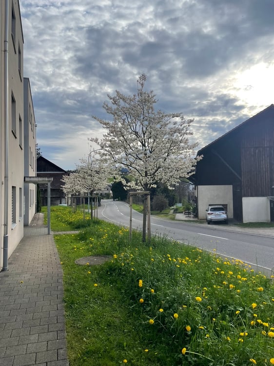 Wohnung in Zeihen 15