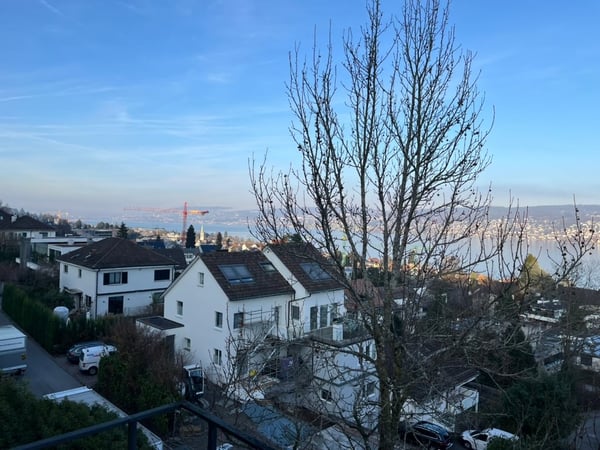 Einfamilienhaus in Rüschlikon 25