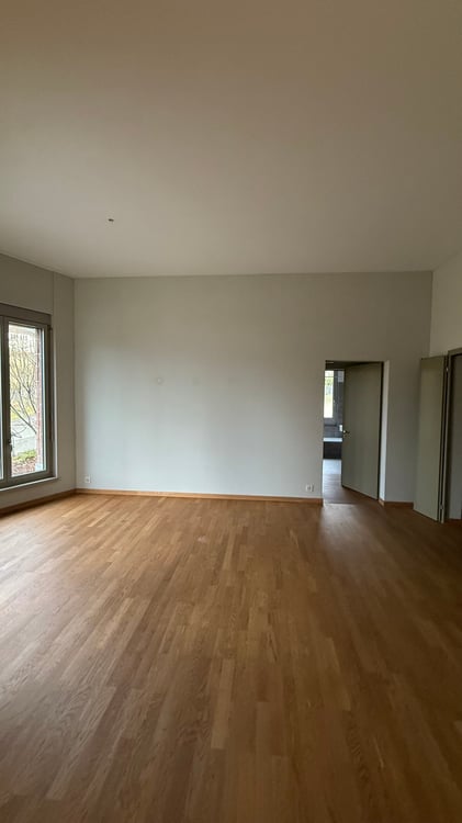 Moderne 1.5-Zimmer-Wohnung mit Balkon in Zürich Seebach 2