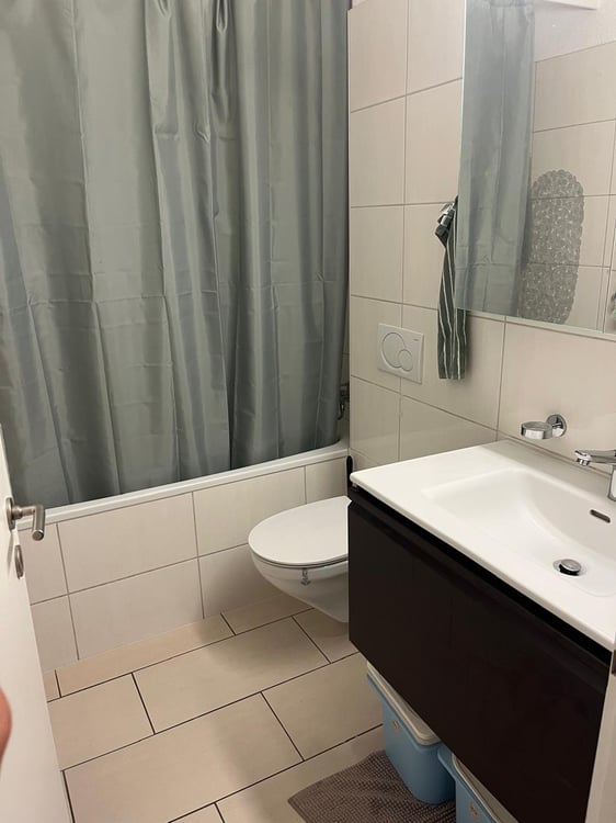 Moderne 1-Zimmer-Wohnung mit 2 Balkon und herrlicher Aussicht 3