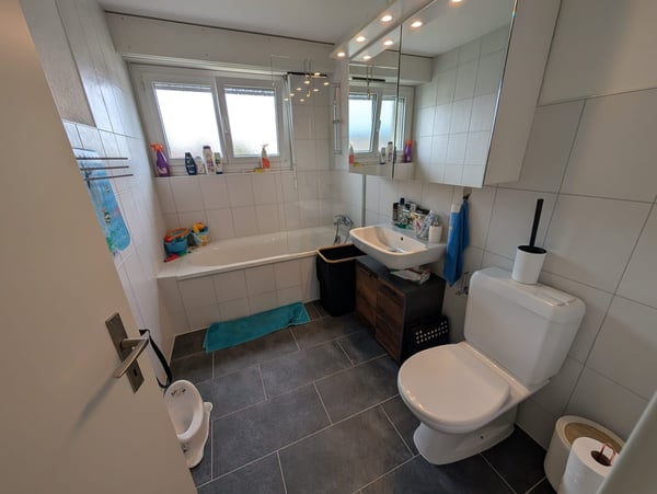 Spacious 1.5-room family apartment with garage in quiet Schwadernau 6