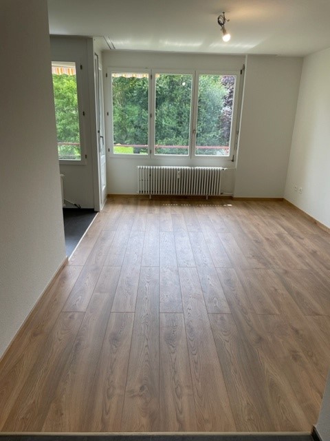 Moderne 1.5-Zimmer-Wohnung in Allschwil mit Aussicht ins Grüne 3
