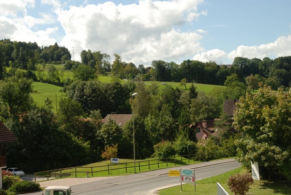 Sonnige 1.5-Zimmer-Wohnung mit Gartensitzplatz 8