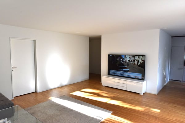 Sonnige 1.5-Zimmer-Wohnung mit Gartensitzplatz 6